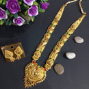 H K Fashion Gold Plated Necklace Set 