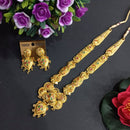 H K Fashion Gold Plated Necklace Set 