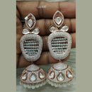 Jain Jewellers Ad Stone Dangler Earrings