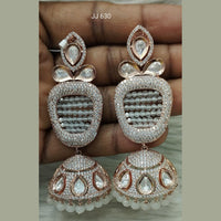 Jain Jewellers Ad Stone Dangler Earrings