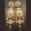Jain Jewellers Ad Stone Dangler Earrings