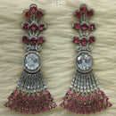 Jain Jewellers Ad Stone Dangler Earrings