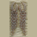 Jain Jewellers AD Stone Dangler Earrings