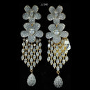 Jain Jewellers Ad Stone Dangler Earrings