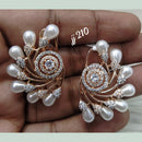 Jain Jewellers Ad Stone Dangler Earrings