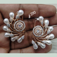 Jain Jewellers Ad Stone Dangler Earrings