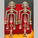 Jain Jewellers Ad Stone Dangler Earrings