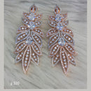 Jain Jewellers Ad Stone Dangler Earrings