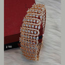 Jain Jewellers AD Stone Kada