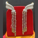 Jain Jewellers Ad Stone Dangler Earrings
