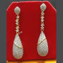 Jain Jewellers Ad Stone Dangler Earrings