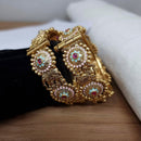 FS Collection Gold Plated Openable Meenakari Bangles