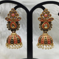 Infinity Jewels Gold Plated Austrian Stone Jhumki Earrings