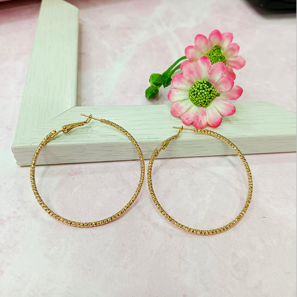 Infinity Jewels Gold Plated Hypoallergenic Nickel Free Hoop Earrings