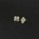 Urthn AD Stone Gold Plated Stud Earrings - 1308051A