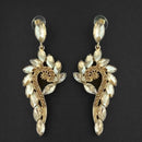 Kriaa Brown Crystal Stone Dangler earrings - 1315611