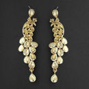 Kriaa Brown Crystal Stone Dangler Earrings - 1315613