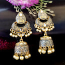 PARSHWAM Grey Glossy Meenakari Pearl Drop Jhumki