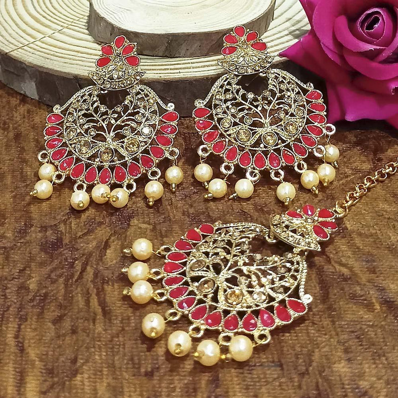 Adi Gold Plated Grey Kundan And Stone Earrings With Maang Tikka  - 1319212E