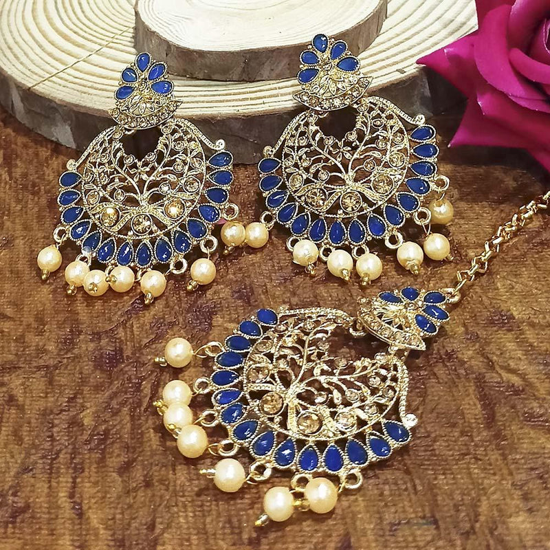 Adi Gold Plated Grey Kundan And Stone Earrings With Maang Tikka  - 1319212E