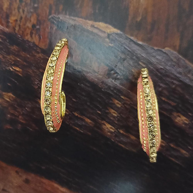 Adi Gold Plated Red Meenakari And Austrian Stone Stud Earrings  -  1319240A