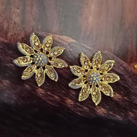 Adi Gold Plated Red Meenakari And Austrian Stone Stud Earrings  -  1319245A