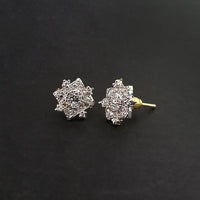 Labono Art AD Stone Rhodium Plated Stud Earrings - FAW0047