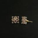 Labono Art AD Stone Gold Plated Stud Earrings - FAW0055