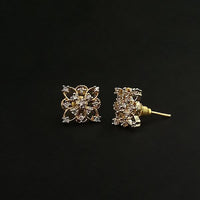 Labono Art AD Stone Gold Plated Stud Earrings - FAW0055
