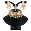 India Art Gold Plated Austrian Stone & Beads Choker Necklace Set
