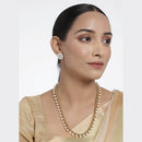 Etnico 18K Gold Plated Traditional South Indian Stylish Long Necklace With Earrings For Women & Girls (MC042W)