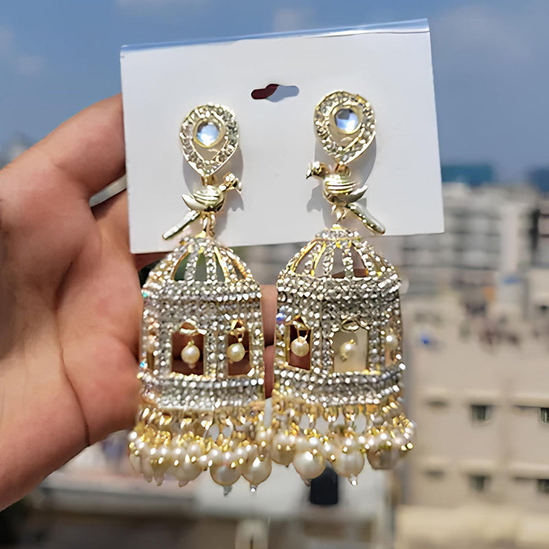 Pearl Bird Cage Earrings Manufacturers  Suppliers in India