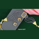 Mahavir Austrian Stone Necklace Set