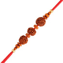 Etnico Ethnic Rudraksha Rakhi Bracelet with Roli Chawal for Men/Brother/ Bhaiya (R060-R) ( Pack of 1)