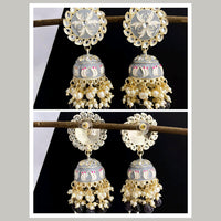 Vaamika Gold Plated Grey Meenakari Jhumki Earrings