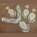 Vaamika Gold Plated Kundan Stone & Beads Traditional Choker Necklace Set- VMNECK406