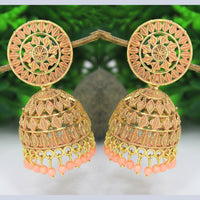Mahavir Gold Plated Meenakari Jhumki Earrings