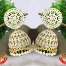 Mahavir Gold Plated Meenakari Jhumki Earrings