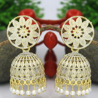 Mahavir Gold Plated Meenakari Jhumki Earrings